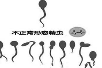 未婚去美国HRC生殖医学中心，恩西诺诊所做试管的成功率高吗？有多少？