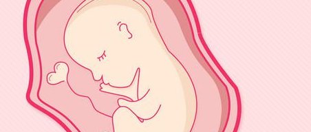 试管婴儿促排方案的选择如何影响胚胎培养结果？