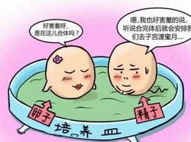 河南试管生育技术：能否生孩子并保证成功？