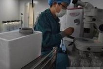 日本助孕机构生试管宝宝怎么生？