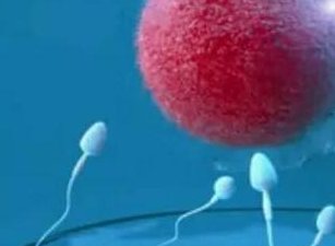 一分详解做试管过程中打hmg有什么作用？