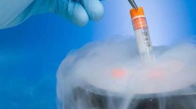 惠州试管婴儿医院公开，附试管费用和成功率数据表