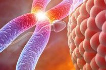 南医大二附院试管婴儿的成功率介绍及案例分享